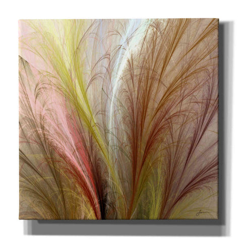 Image of 'Fountain Grass II' by James Burghardt Giclee Canvas Wall Art