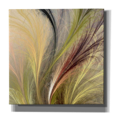 Image of 'Fountain Grass I' by James Burghardt Giclee Canvas Wall Art