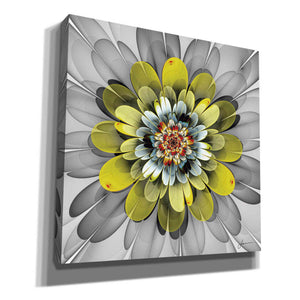 'Fractal Blooms IV' by James Burghardt Giclee Canvas Wall Art