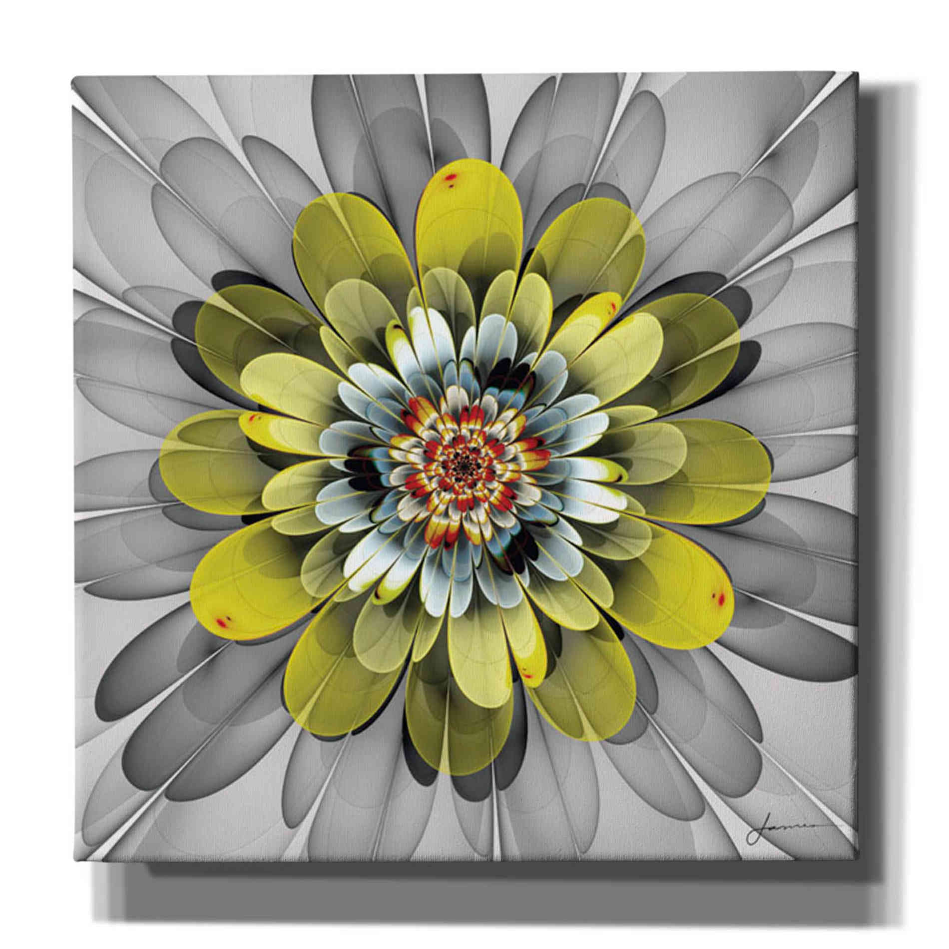 'Fractal Blooms IV' by James Burghardt Giclee Canvas Wall Art