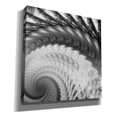 Image of 'Helix I' by James Burghardt Giclee Canvas Wall Art