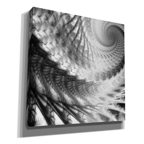 Image of 'Helix II' by James Burghardt Giclee Canvas Wall Art