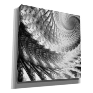 'Helix II' by James Burghardt Giclee Canvas Wall Art