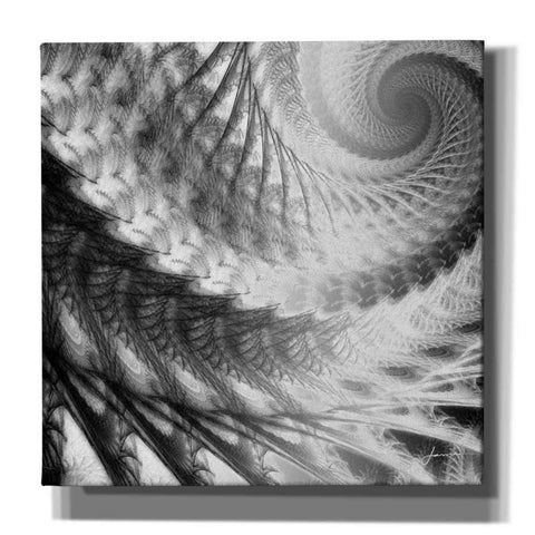 Image of 'Helix II' by James Burghardt Giclee Canvas Wall Art