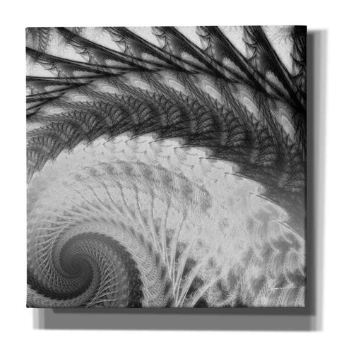 Image of 'Helix I' by James Burghardt Giclee Canvas Wall Art