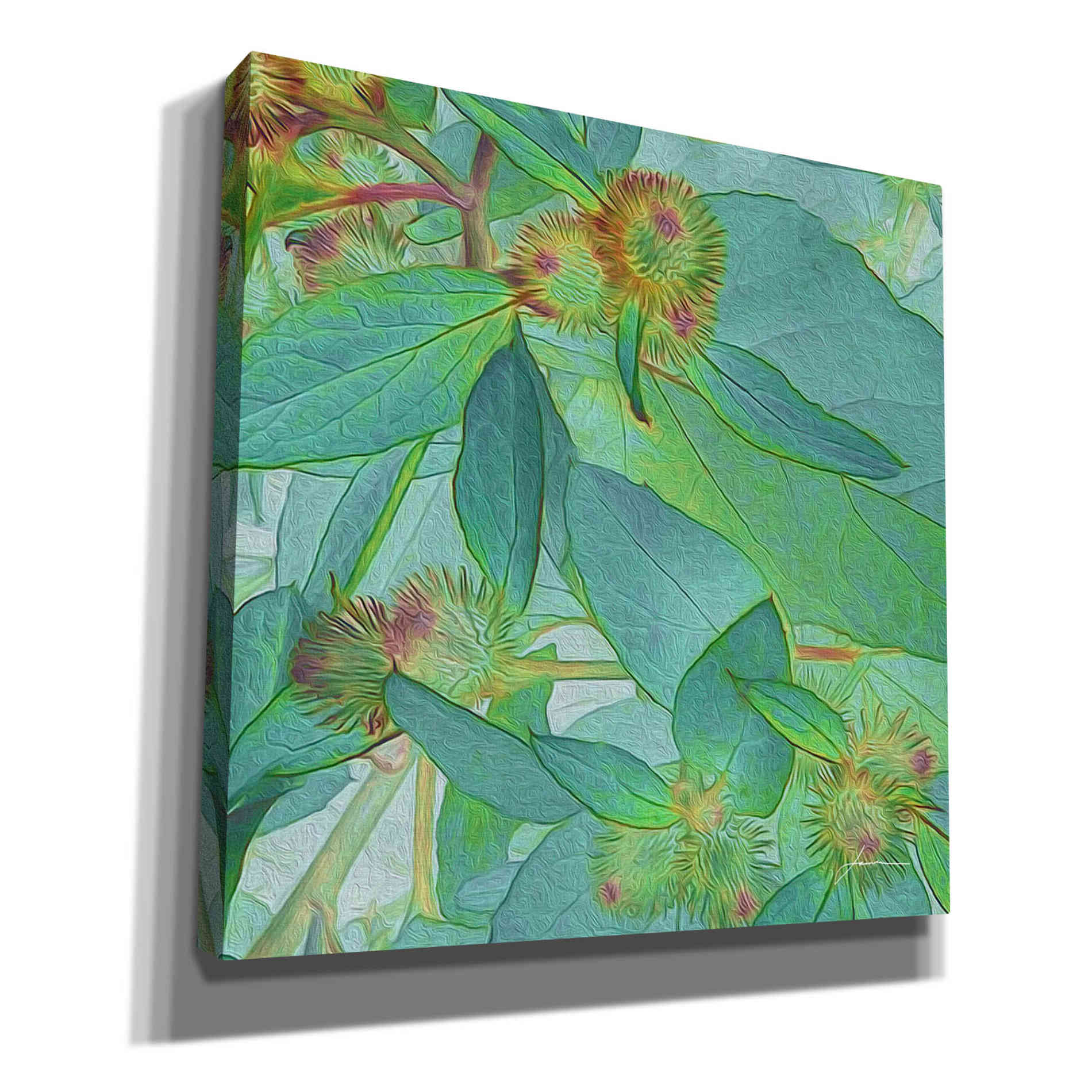 'Prickley Tiles I' by James Burghardt Giclee Canvas Wall Art