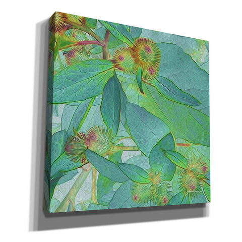 Image of 'Prickley Tiles I' by James Burghardt Giclee Canvas Wall Art