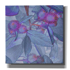 'Prickley Tiles IV' by James Burghardt Giclee Canvas Wall Art