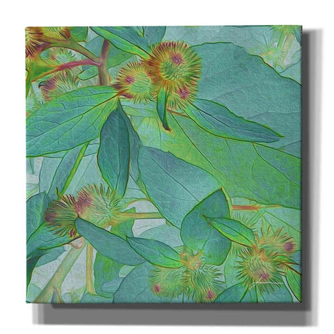 Image of 'Prickley Tiles I' by James Burghardt Giclee Canvas Wall Art