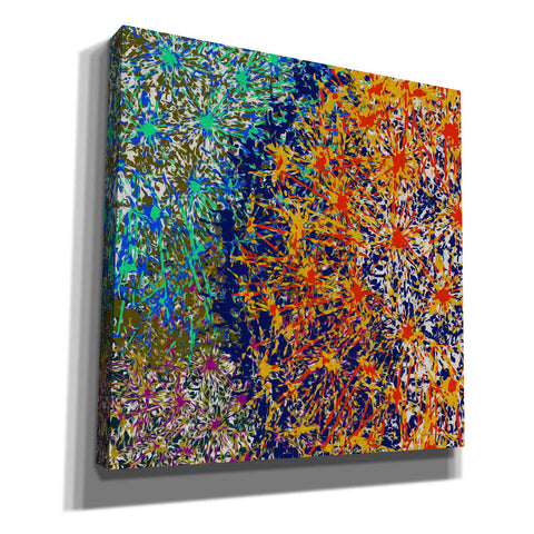 Image of 'Profusion I' by James Burghardt Giclee Canvas Wall Art