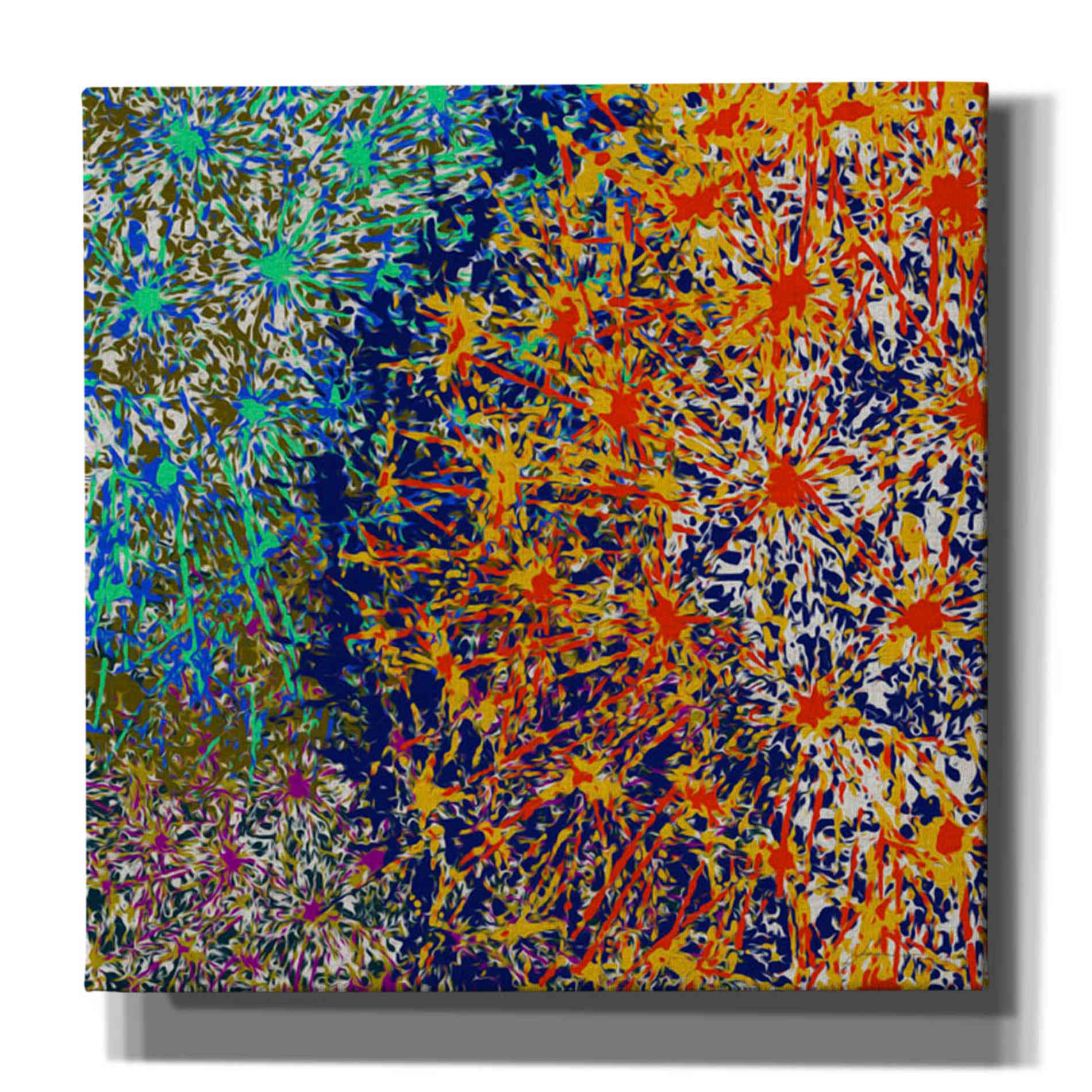 'Profusion I' by James Burghardt Giclee Canvas Wall Art