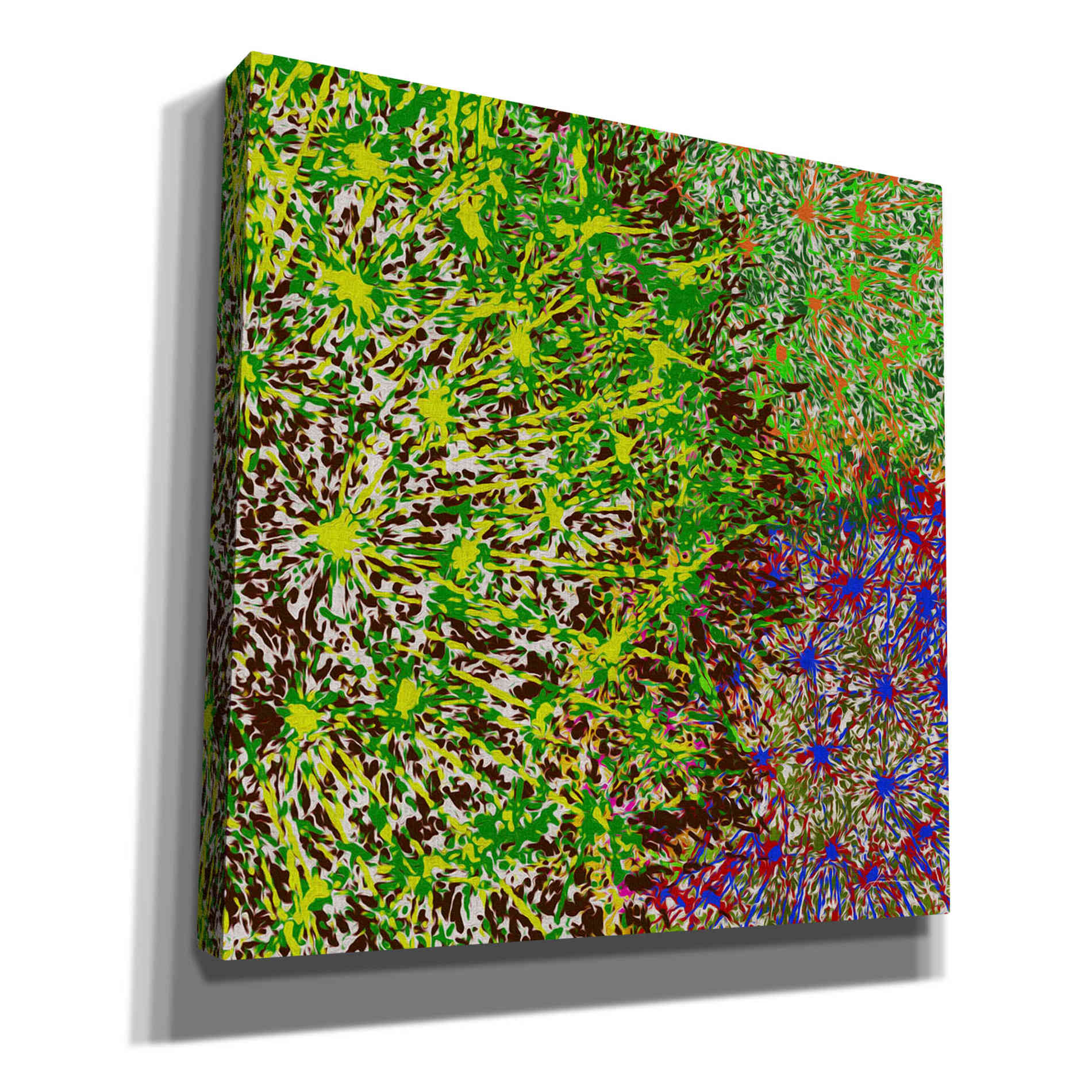 'Profusion II' by James Burghardt Giclee Canvas Wall Art