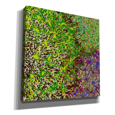 Image of 'Profusion II' by James Burghardt Giclee Canvas Wall Art