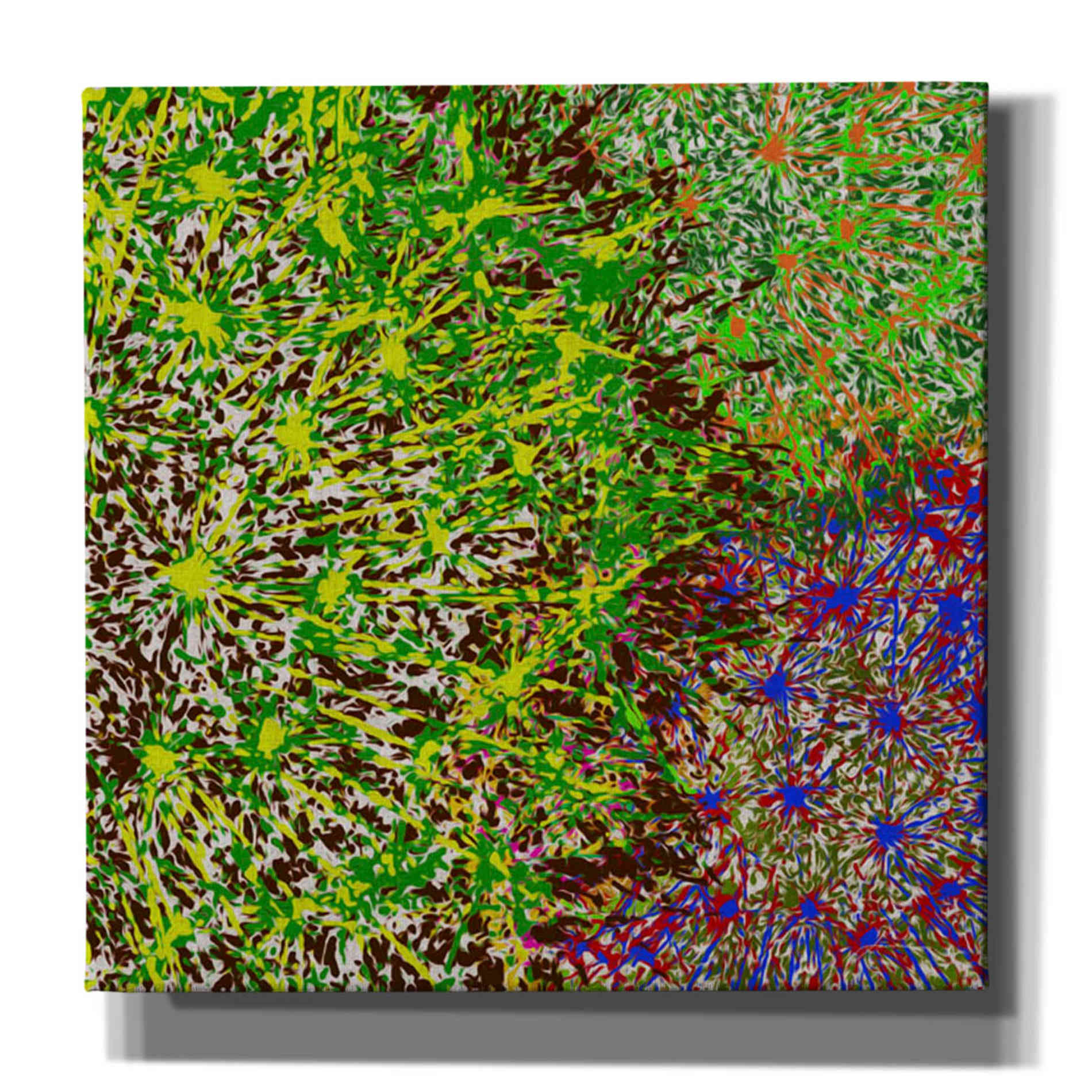 'Profusion II' by James Burghardt Giclee Canvas Wall Art