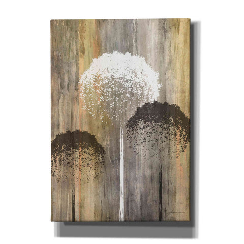 Image of 'Rustic Garden I' by James Burghardt Giclee Canvas Wall Art