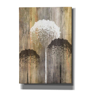 'Rustic Garden I' by James Burghardt Giclee Canvas Wall Art