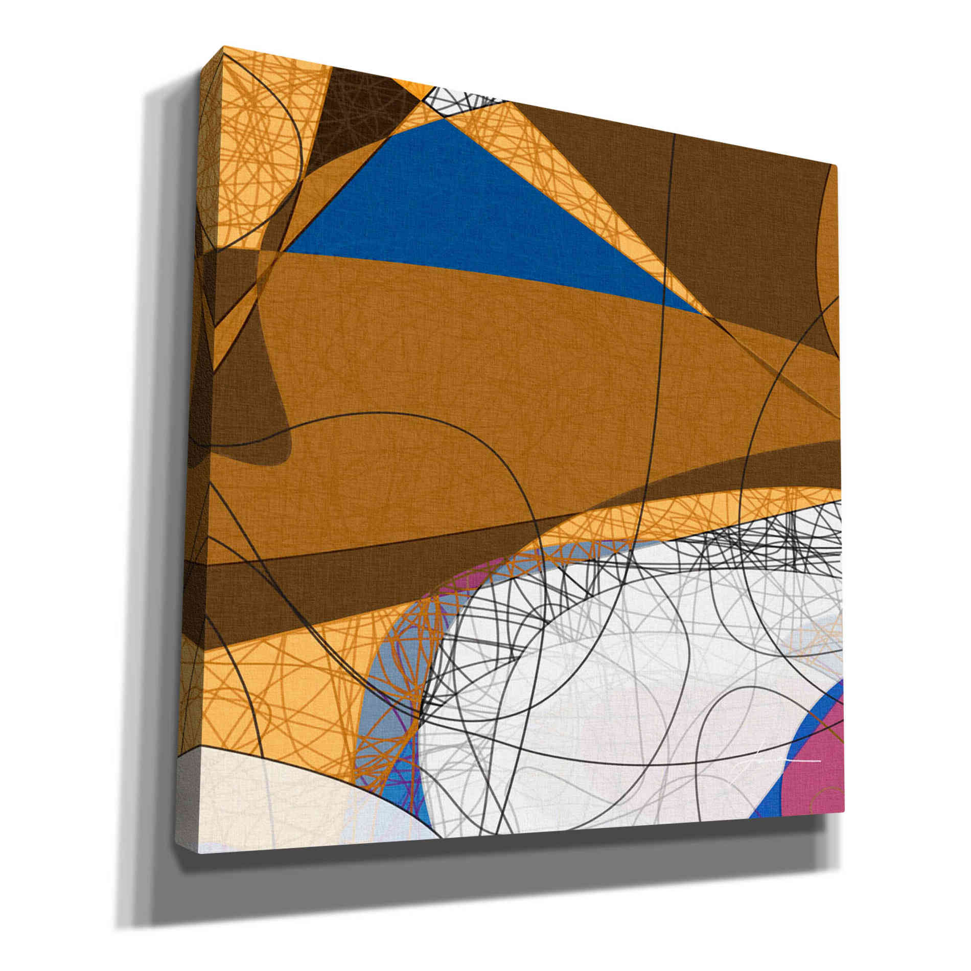 'Tangled I' by James Burghardt Giclee Canvas Wall Art