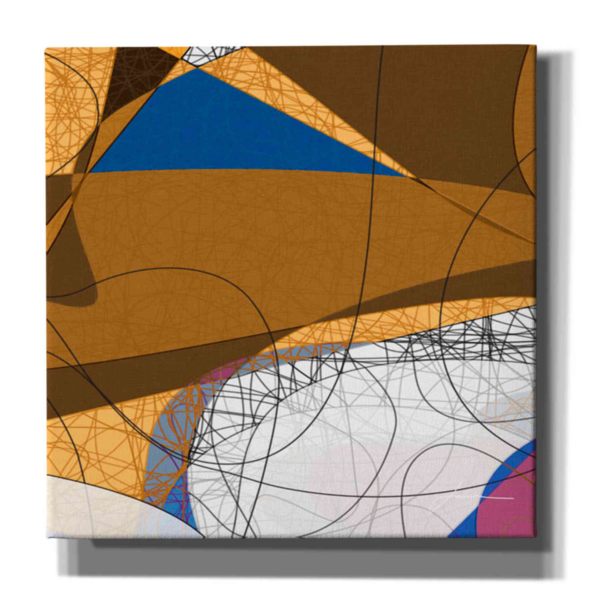 'Tangled I' by James Burghardt Giclee Canvas Wall Art