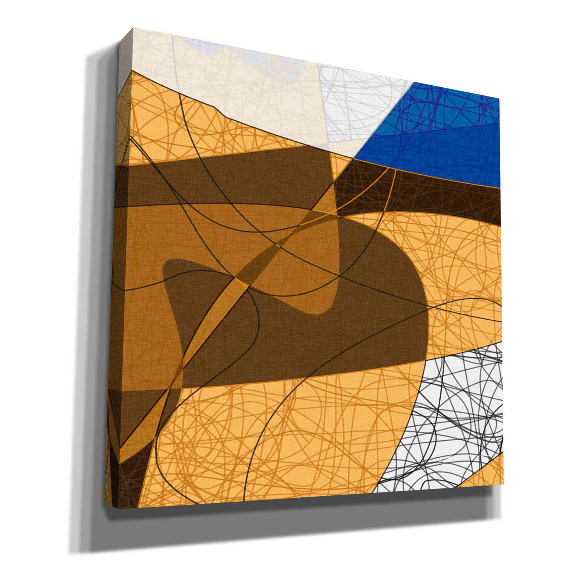 'Tangled II' by James Burghardt Giclee Canvas Wall Art