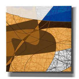 'Tangled II' by James Burghardt Giclee Canvas Wall Art