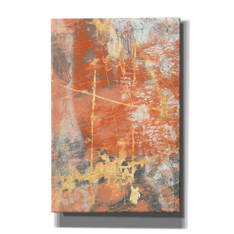 Image of 'Terre Cotta Lace I' by Jennifer Goldberger Giclee Canvas Wall Art