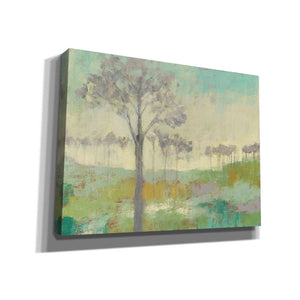 'Tree Stand II' by Jennifer Goldberger Giclee Canvas Wall Art