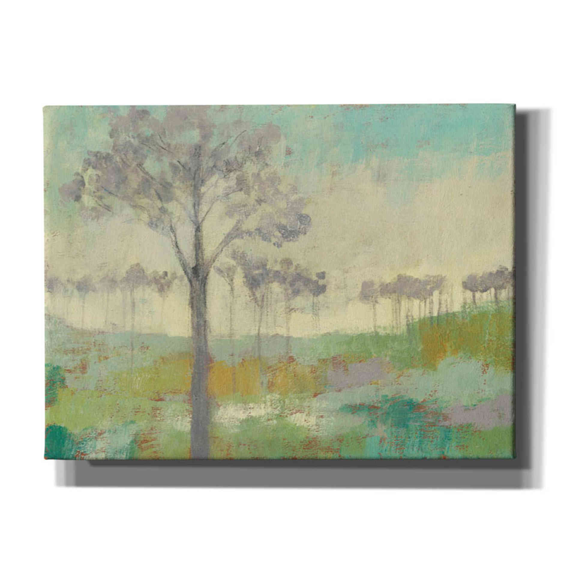 'Tree Stand II' by Jennifer Goldberger Giclee Canvas Wall Art