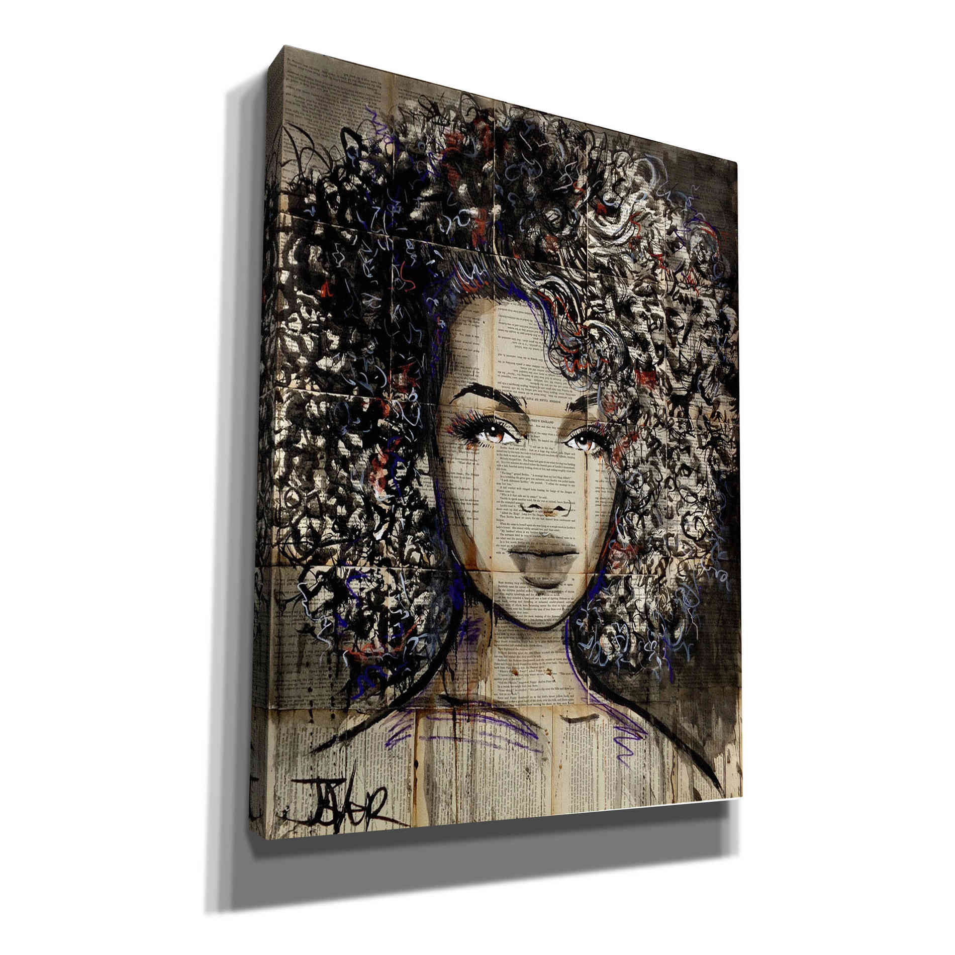 'Wonder' by Loui Jover, Canvas Wall Art