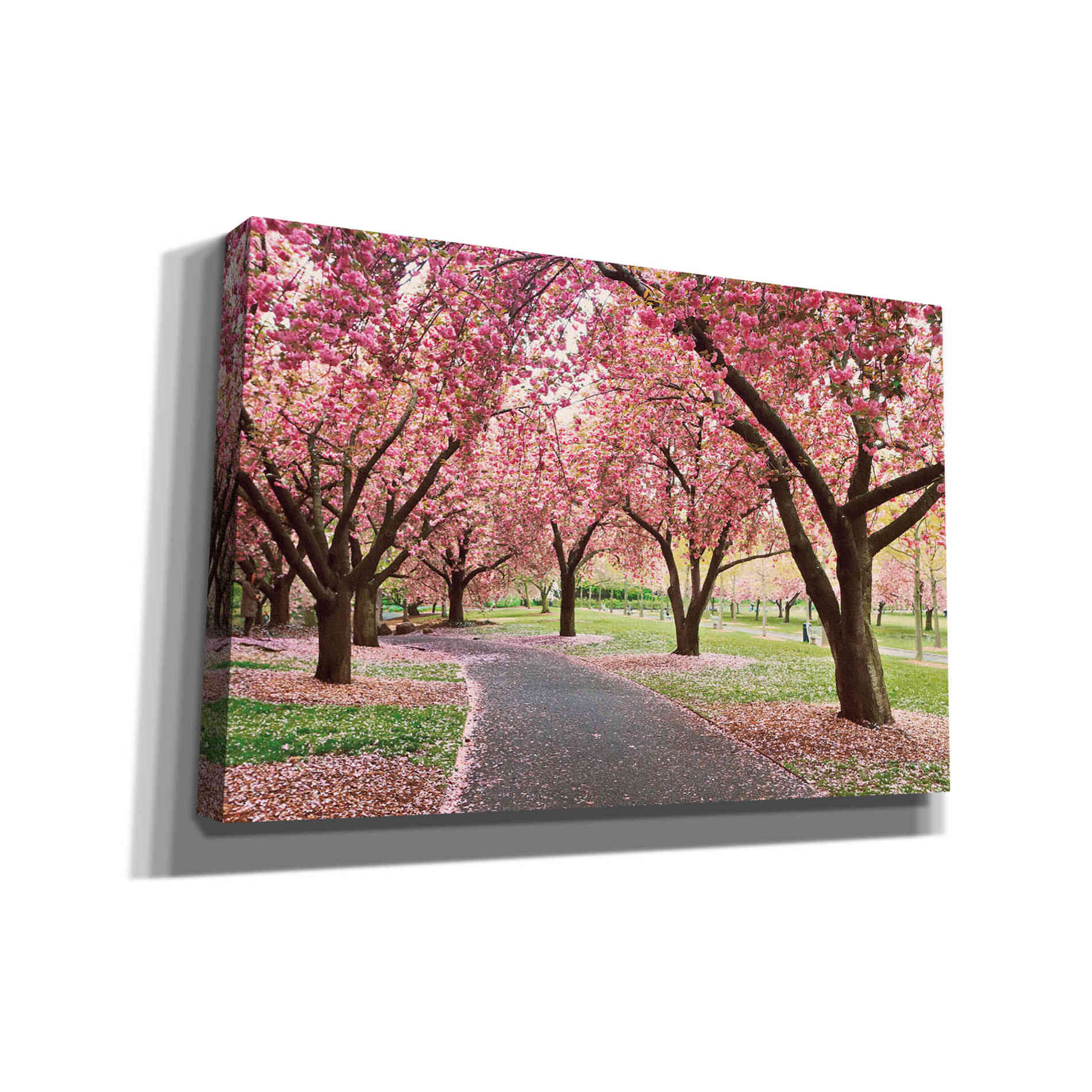 'Cherry Parade' by Katherine Gendreau, Giclee Canvas Wall Art