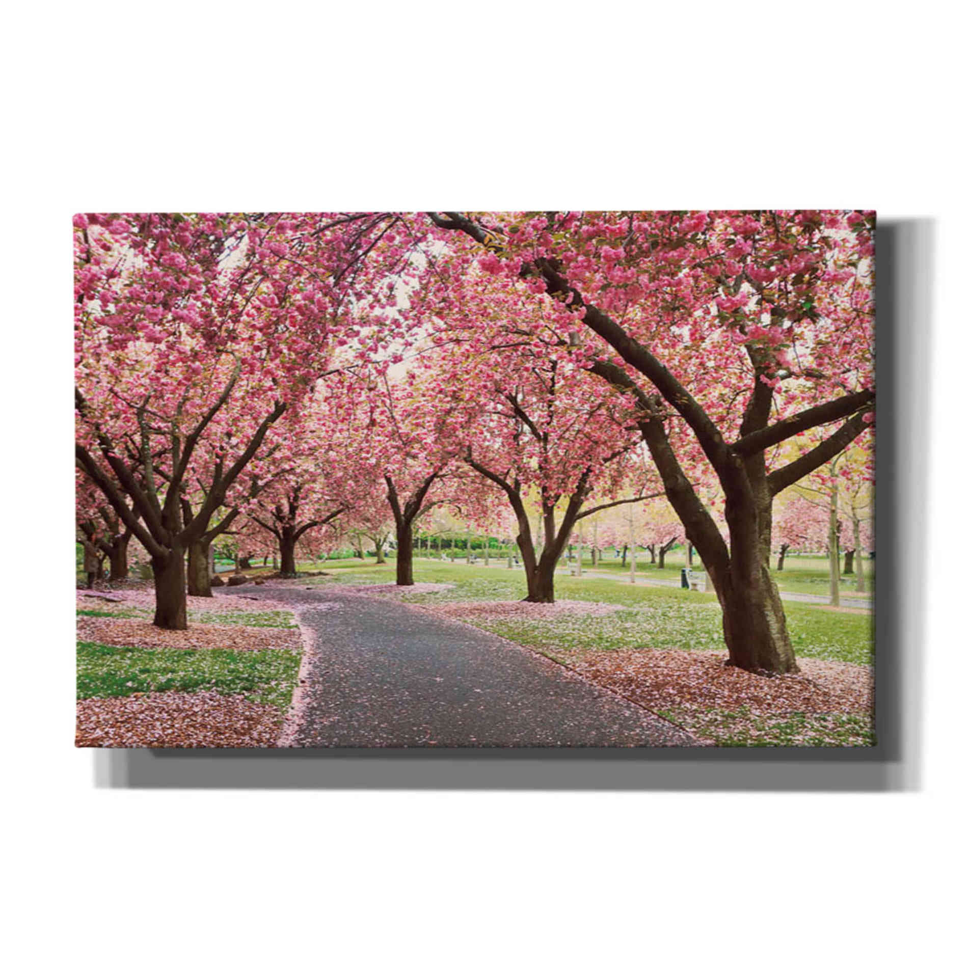 'Cherry Parade' by Katherine Gendreau, Giclee Canvas Wall Art
