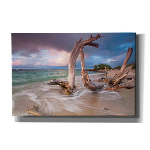 Image of 'Driftwood Sunset' by Katherine Gendreau, Giclee Canvas Wall Art