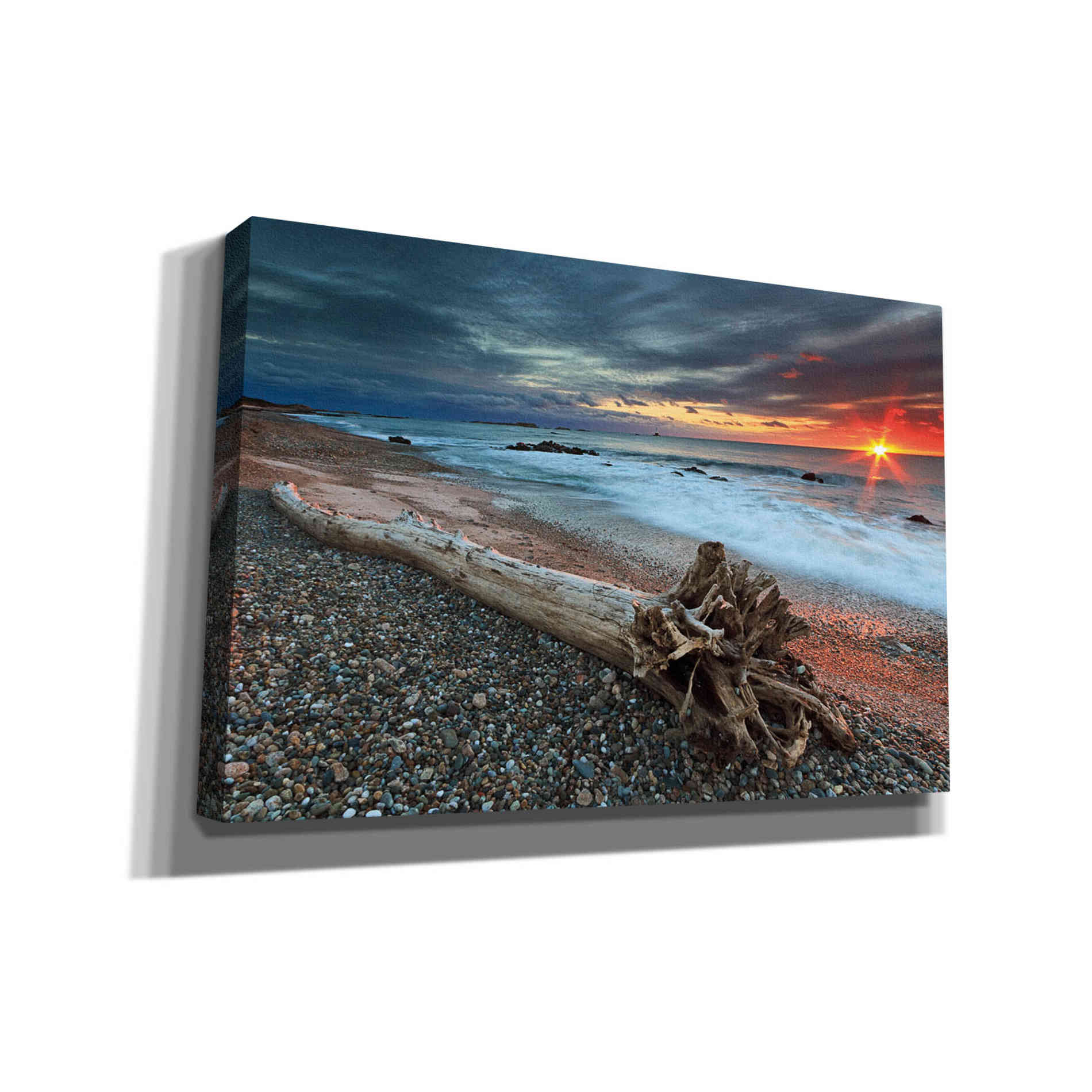 'Sakonnet Driftwood' by Katherine Gendreau, Giclee Canvas Wall Art