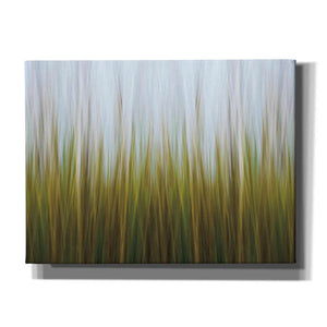 'Sea Grass Canvas' by Katherine Gendreau, Giclee Canvas Wall Art