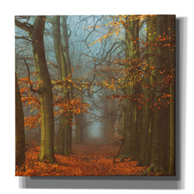 'Path of The Mystics' by Lars van de Goor, Giclee Canvas Wall Art