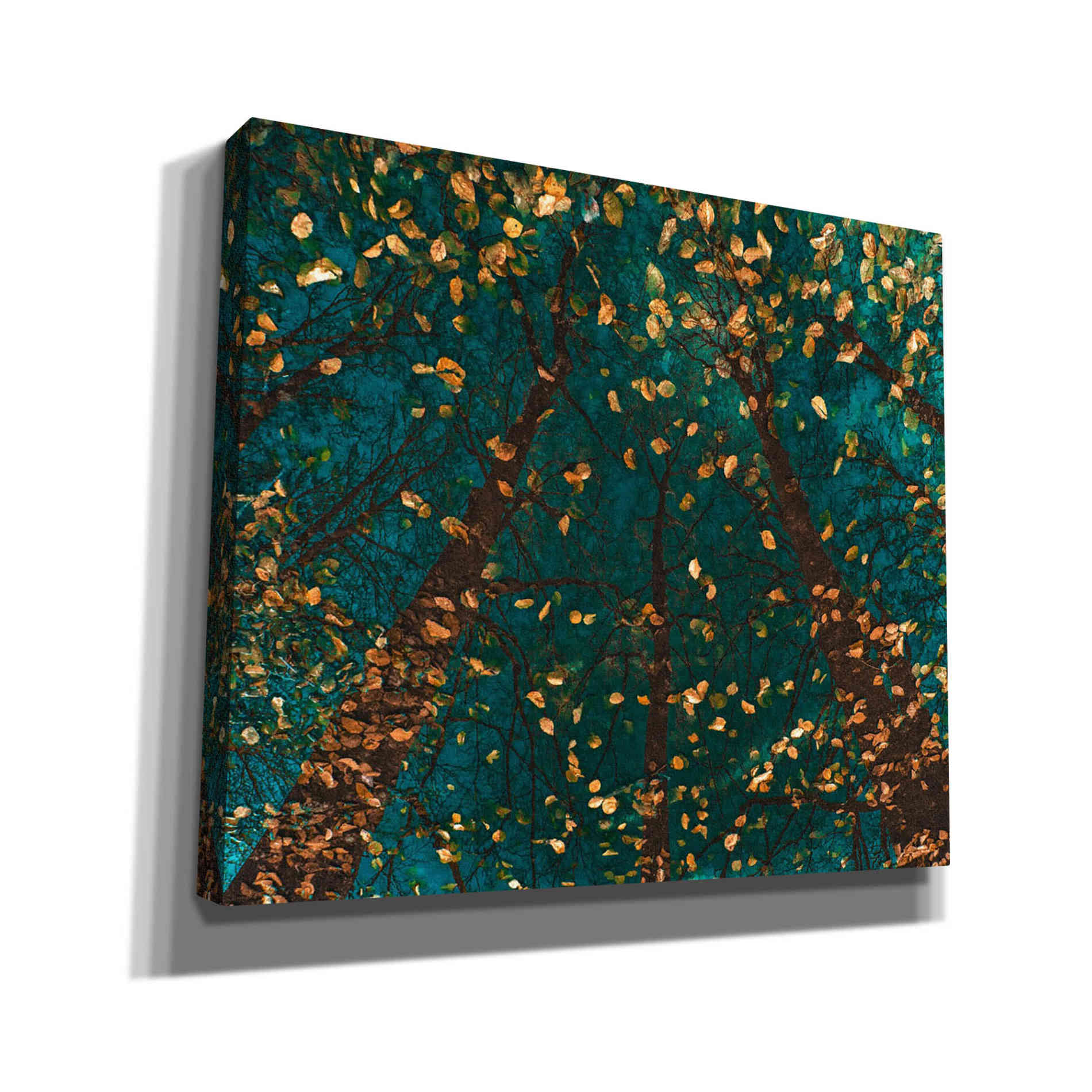 'Plato's Trees' by Lars van de Goor, Giclee Canvas Wall Art