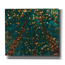 'Plato's Trees' by Lars van de Goor, Giclee Canvas Wall Art