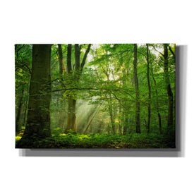 'Breathe' by Lars van de Goor, Giclee Canvas Wall Art