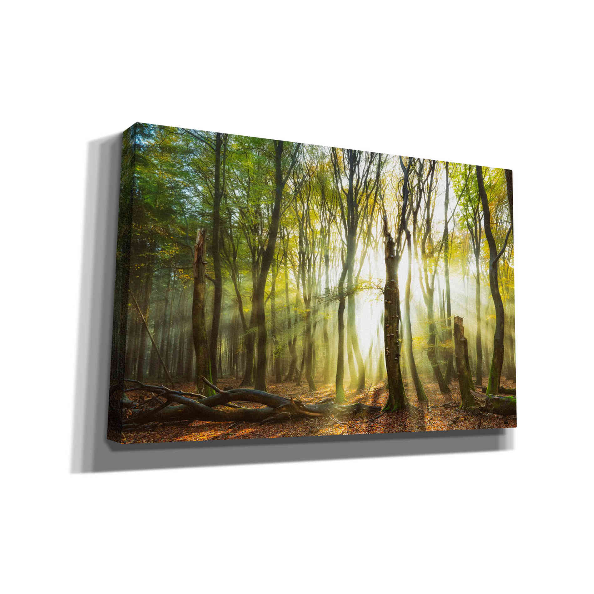 'Still Standing' by Lars van de Goor, Giclee Canvas Wall Art