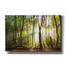'Still Standing' by Lars van de Goor, Giclee Canvas Wall Art