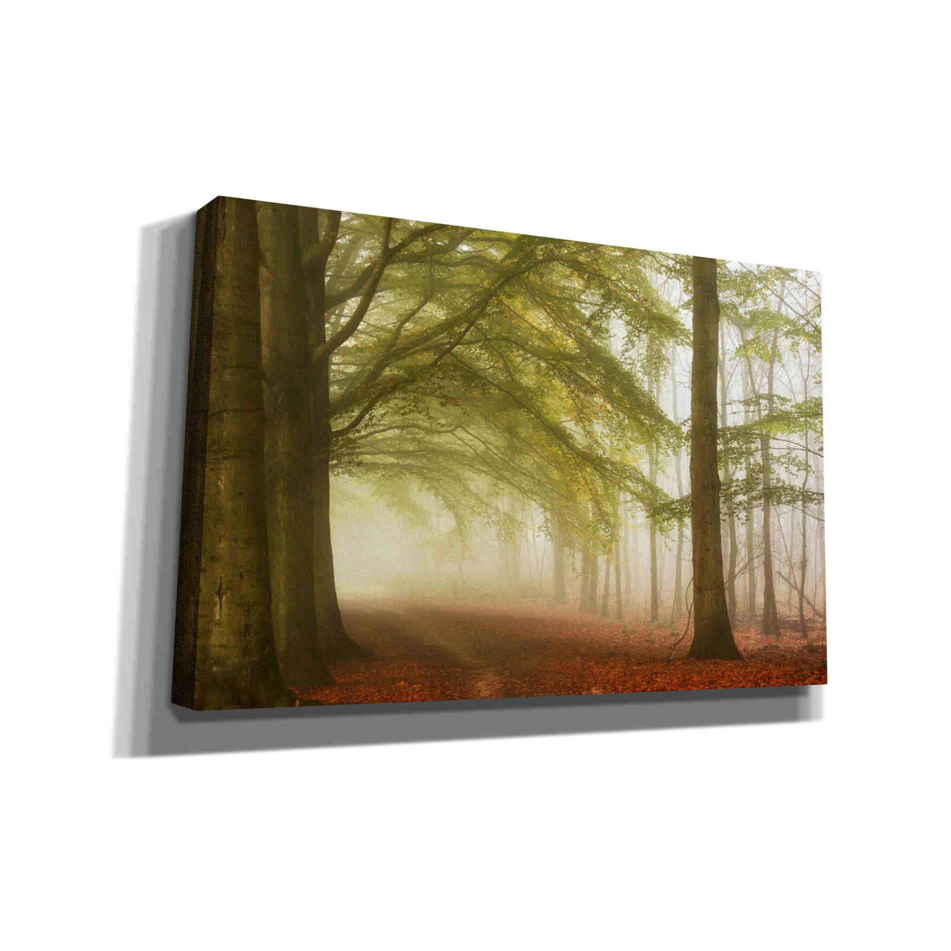 'Dreamwalkers' by Lars van de Goor, Giclee Canvas Wall Art