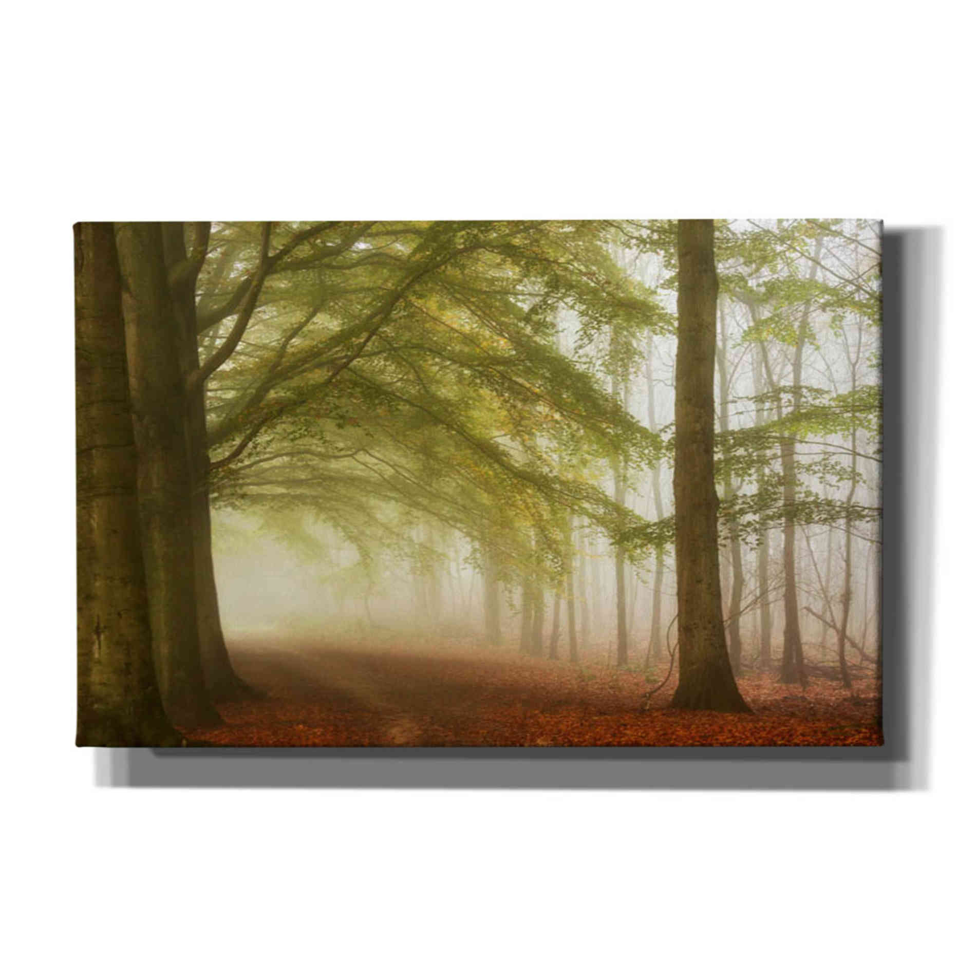 'Dreamwalkers' by Lars van de Goor, Giclee Canvas Wall Art