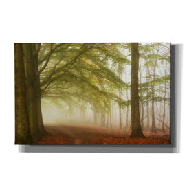 'Dreamwalkers' by Lars van de Goor, Giclee Canvas Wall Art