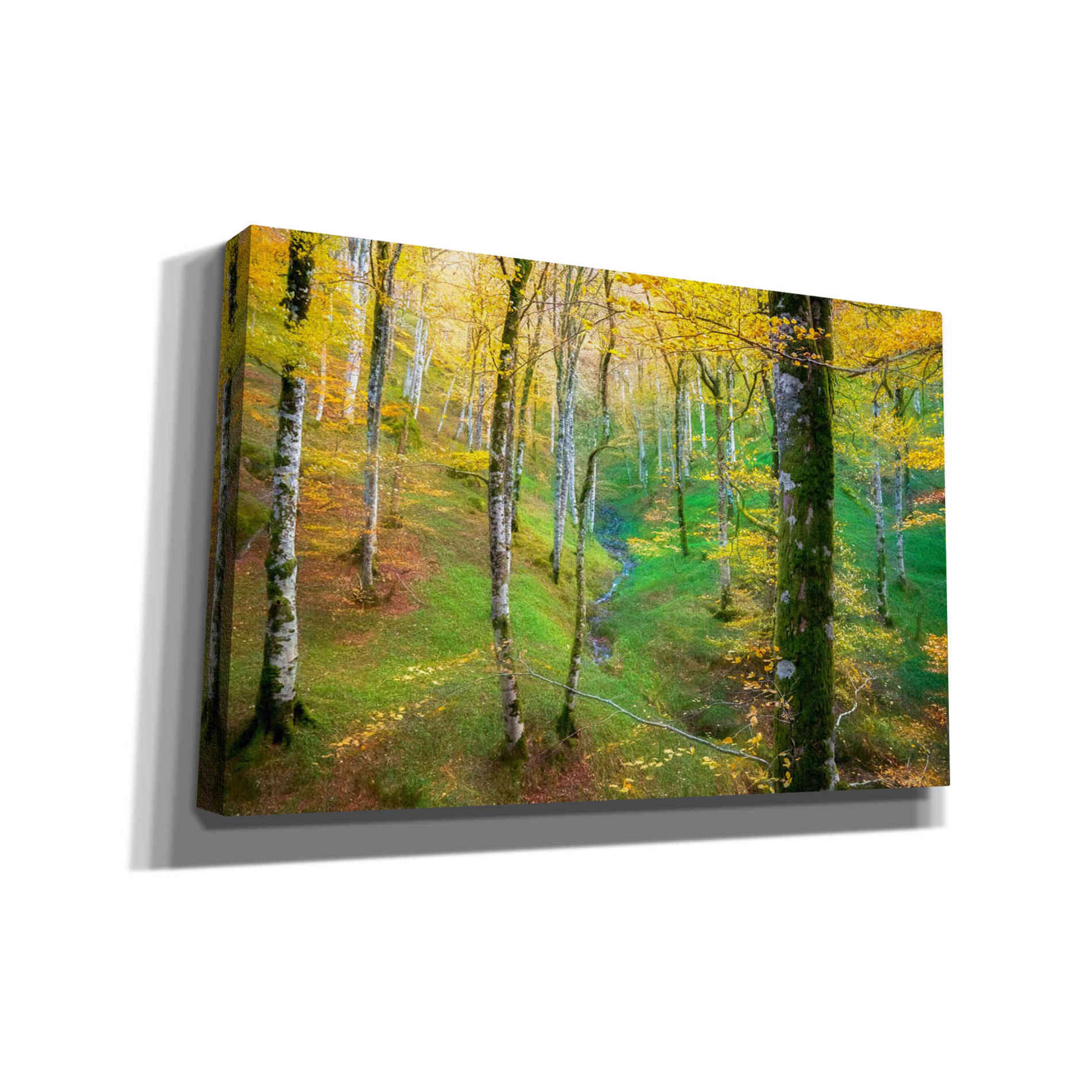 'Dream of Birches' by Lars van de Goor, Giclee Canvas Wall Art