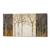 'Night and Day' by Kathrine Lovell, Canvas Wall Art