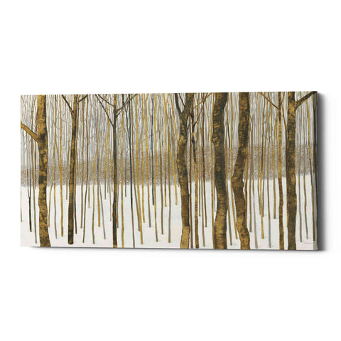 Image of 'Woods in Winter Gold' by Kathrine Lovell, Canvas Wall Art
