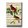 'The Cardinal Sings' by John James Audubon, Canvas Wall Art,12 x 18