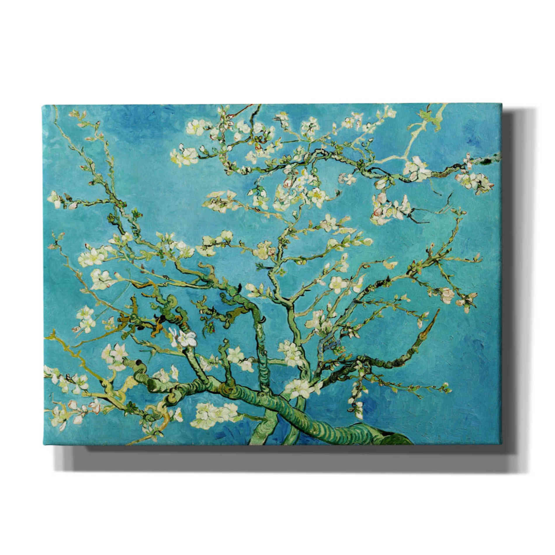 'Almond Blossoms' by Vincent Van Gogh, Canvas Wall Art
