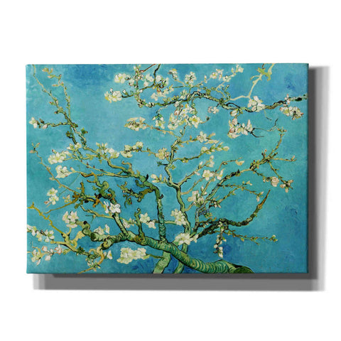 Image of 'Almond Blossoms' by Vincent Van Gogh, Canvas Wall Art
