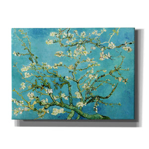 'Almond Blossoms' by Vincent Van Gogh, Canvas Wall Art