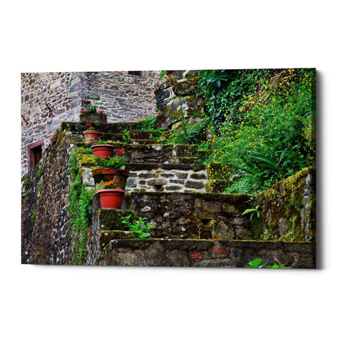 Image of 'Stone Steps,' Canvas Wall Art